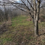 Парцел в Пазарджик, Окръжна болница - 780 кв.м за 18 €/кв.м - Снимка #1