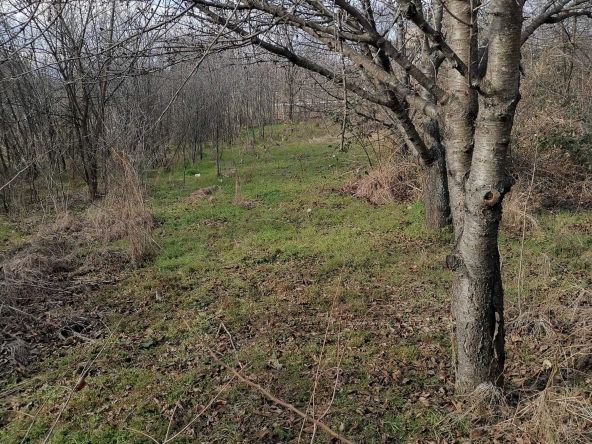 Парцел в Пазарджик, Окръжна болница - 780 кв.м за 18 €/кв.м - Снимка #1