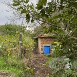 Парцел в Девня - 1100 кв.м за 28 €/кв.м - Снимка #1