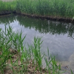 Земеделски имот в Игнатиево -  кв.м за 3995 €/дка - Снимка #1