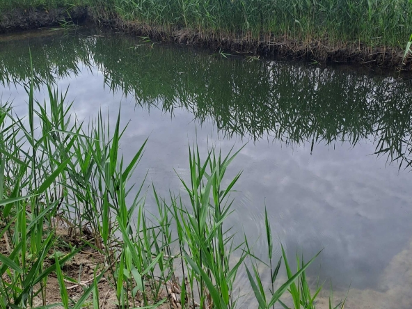 Земеделски имот в Игнатиево -  кв.м за 3995 €/дка - Снимка #1