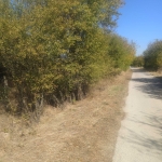 Парцел в с. Караполци, Област София-област - 1000 кв.м за 35 €/кв.м - Снимка #1