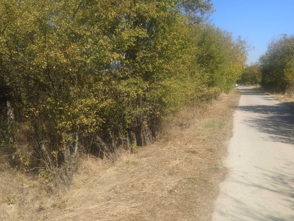 Парцел в с. Караполци, Област София-област - 1000 кв.м за 35 €/кв.м - Снимка #1