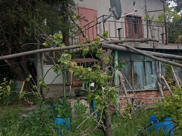 Къща в с. Гривица, Област Плевен - 50 кв.м за 204 €/кв.м - Снимка #1