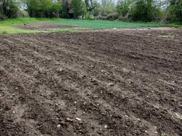 Парцел в с. Болярци, Област Пловдив - 953 кв.м за 20 €/кв.м - Снимка #1