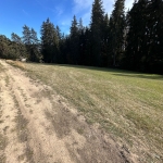 Парцел в Велинград - 1000 кв.м за 0 €/кв.м - Снимка #1