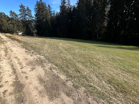 Парцел в Велинград - 1000 кв.м за 0 €/кв.м - Снимка #1