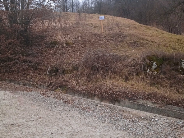 Земеделски имот в Рудозем -  кв.м за 9 €/дка - Снимка #1