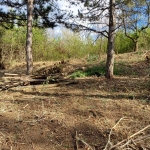 Парцел в Кюстендил, Герена - 1000 кв.м за 44 €/кв.м - Снимка #1