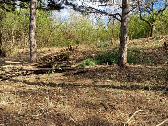 Парцел в Кюстендил, Герена - 1000 кв.м за 44 €/кв.м - Снимка #1