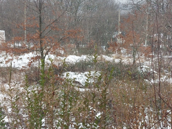 Парцел в Варна, м-т Ракитника - 600 кв.м за 47 €/кв.м - Снимка #1