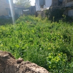 Парцел в Разград, Житница - 460 кв.м за 156 €/кв.м - Снимка #1