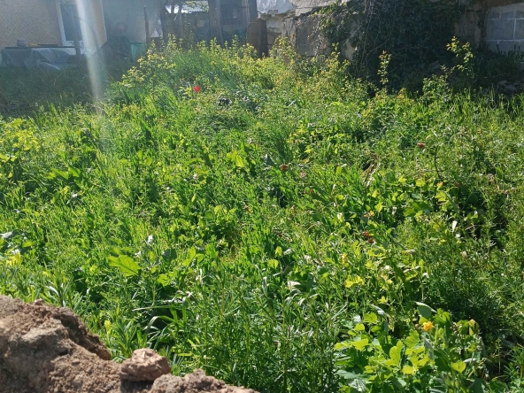 Парцел в Разград, Житница - 460 кв.м за 156 €/кв.м - Снимка #1