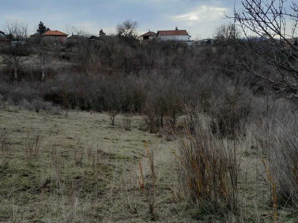 Парцел в Монтана, Кошарник - 1200 кв.м за 6 €/кв.м - Снимка #1