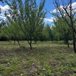 Парцел в Варна, Младост 2 - 5000 кв.м за 2 €/кв.м - Снимка #1