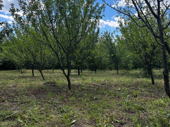 Парцел в Варна, Младост 2 - 5000 кв.м за 2 €/кв.м - Снимка #1