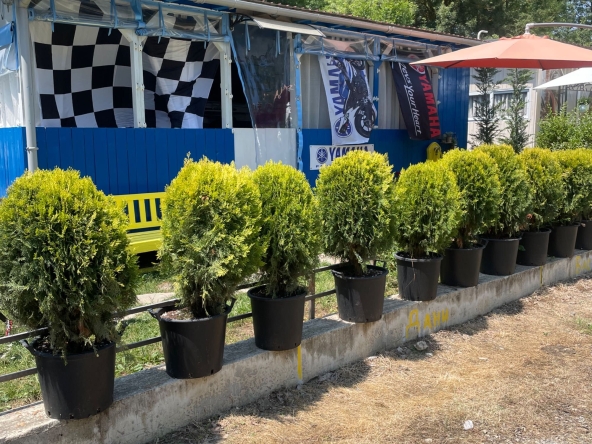 Къща в София, Лозенец - 20 кв.м за 1325 €/кв.м - Снимка #1