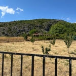 Парцел в Казанлък - 1000 кв.м за 36 €/кв.м - Снимка #1