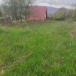 Парцел в Годеч - 1000 кв.м за 41 €/кв.м - Снимка #1