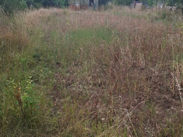 Парцел в Радомир - 720 кв.м за 46 €/кв.м - Снимка #1