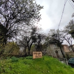 Парцел в с. Панчарево, Област София-град - 725 кв.м за 414 €/кв.м - Снимка #1