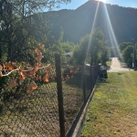 Парцел в Габрово, Център - 800 кв.м за 19 €/кв.м - Снимка #1