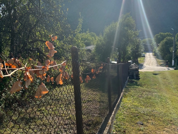 Парцел в Габрово, Център - 800 кв.м за 19 €/кв.м - Снимка #1