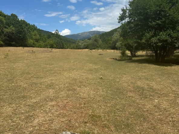 Парцел в с. Боснек, Област Перник - 1100 кв.м за 114 €/кв.м - Снимка #1