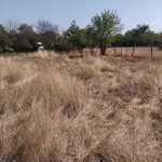 Парцел в Левски - 2000 кв.м за 1 €/кв.м - Снимка #1