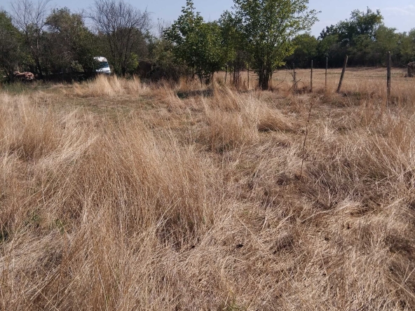 Парцел в Левски - 2000 кв.м за 1 €/кв.м - Снимка #1