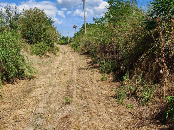 Парцел в с. Маленово, Област Ямбол - 2000 кв.м за 2 €/кв.м - Снимка #1