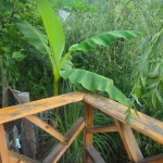 Къща в Бургас, Меден рудник - зона Д - 70 кв.м за 416 €/кв.м - Снимка #1