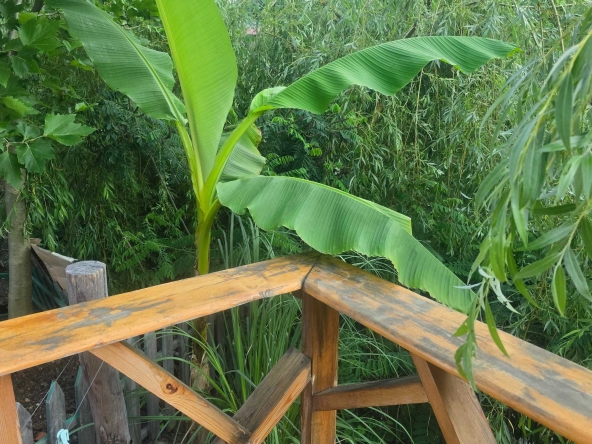 Къща в Бургас, Меден рудник - зона Д - 70 кв.м за 416 €/кв.м - Снимка #1