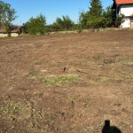 Парцел в с. Съединение, Област Стара Загора - 1220 кв.м за 7 €/кв.м - Снимка #1