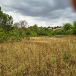 Парцел в Вълчи дол - 2200 кв.м за 5 €/кв.м - Снимка #1