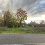 Парцел в Първомай - 2320 кв.м за 3 €/кв.м - Снимка #1