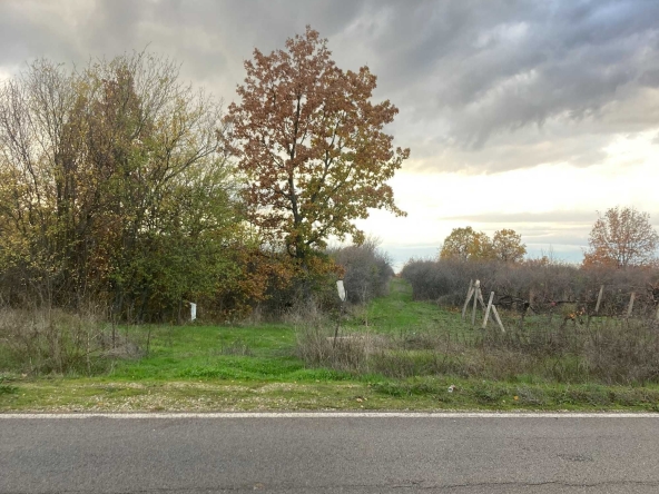 Парцел в Първомай - 2320 кв.м за 3 €/кв.м - Снимка #1