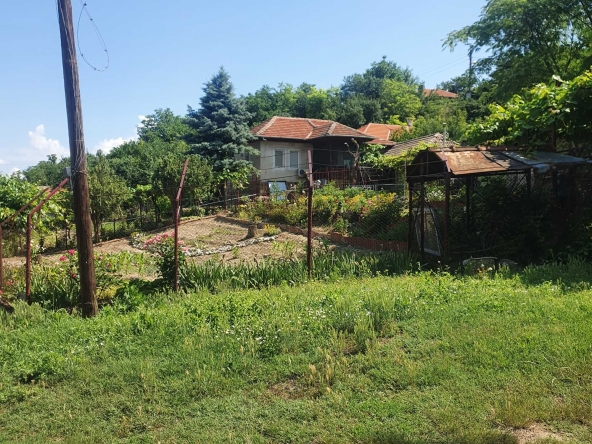 Къща в Силистра, в.з. Юг - 860 кв.м за 19 €/кв.м - Снимка #1