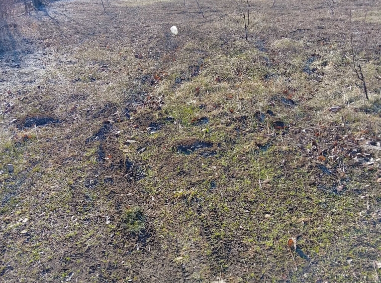 Парцел в Разград, Промишлена зона - Запад - 969 кв.м за 11 €/кв.м - Снимка #1