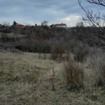 Парцел в Монтана, Кошарник - 1200 кв.м за 6 €/кв.м - Снимка #1