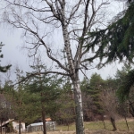 Къща в с. Железница, Област София-град - 48 кв.м за 1428 €/кв.м - Снимка #1