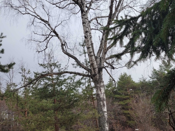 Къща в с. Железница, Област София-град - 48 кв.м за 1428 €/кв.м - Снимка #1