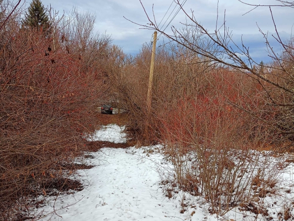 Парцел в с. Ялботина, Област София-област - 1000 кв.м за 8 €/кв.м - Снимка #1