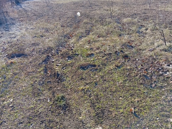 Парцел в Разград, Промишлена зона - Запад - 969 кв.м за 11 €/кв.м - Снимка #1