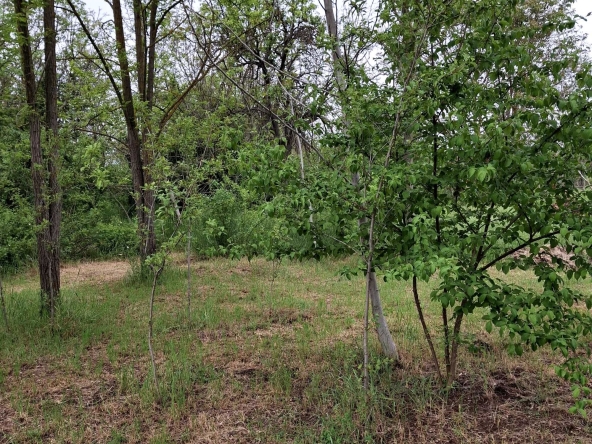 Парцел в Добрич, Център - 1150 кв.м за 75 €/кв.м - Снимка #1