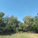 Земеделски имот в с. Равнище, Област София-област -  кв.м за 2499 €/дка - Снимка #1