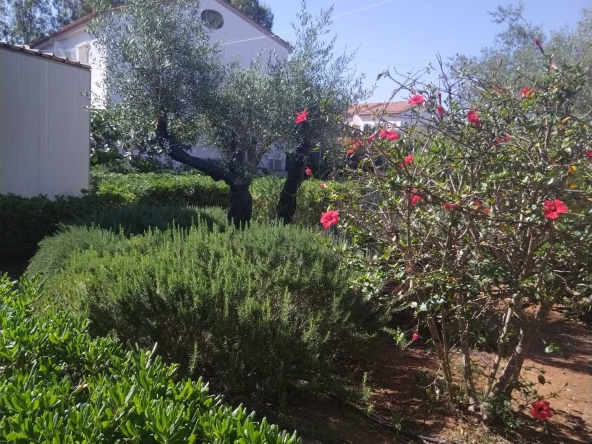 Земеделски имот в Разград, Варош -  кв.м за 1530 €/дка - Снимка #1