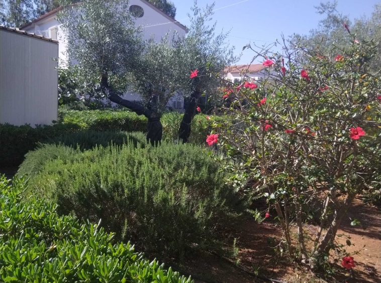 Земеделски имот в Разград, Варош -  кв.м за 1530 €/дка - Снимка #1