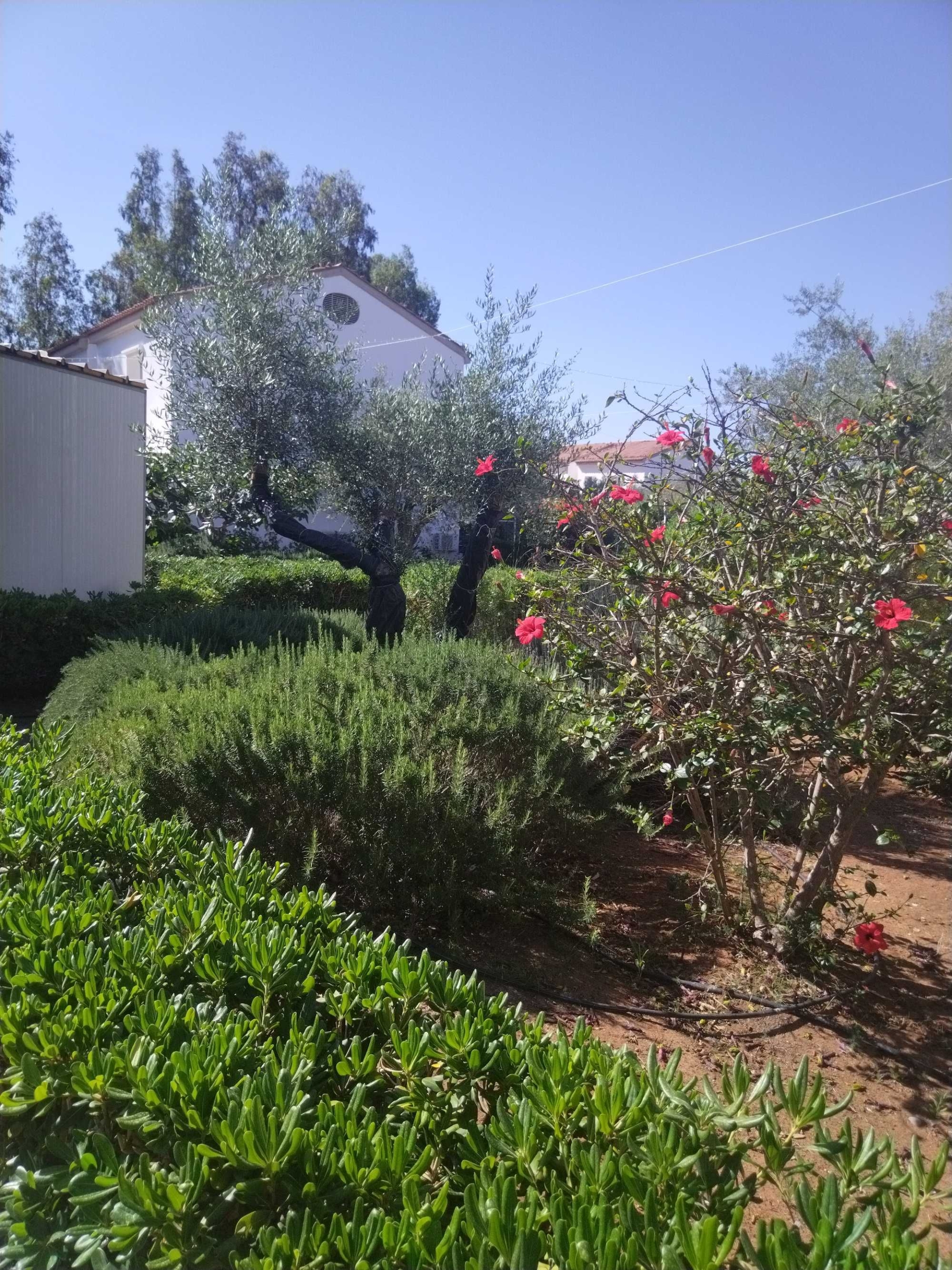 Земеделски имот в Разград, Варош -  кв.м за 1530 €/дка - Снимка #1