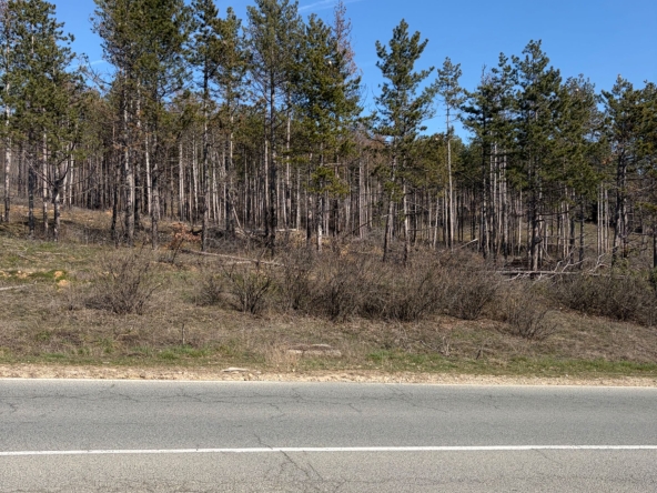 Парцел в Стара Загора, Загорка - 10300 кв.м за 0 €/кв.м - Снимка #1